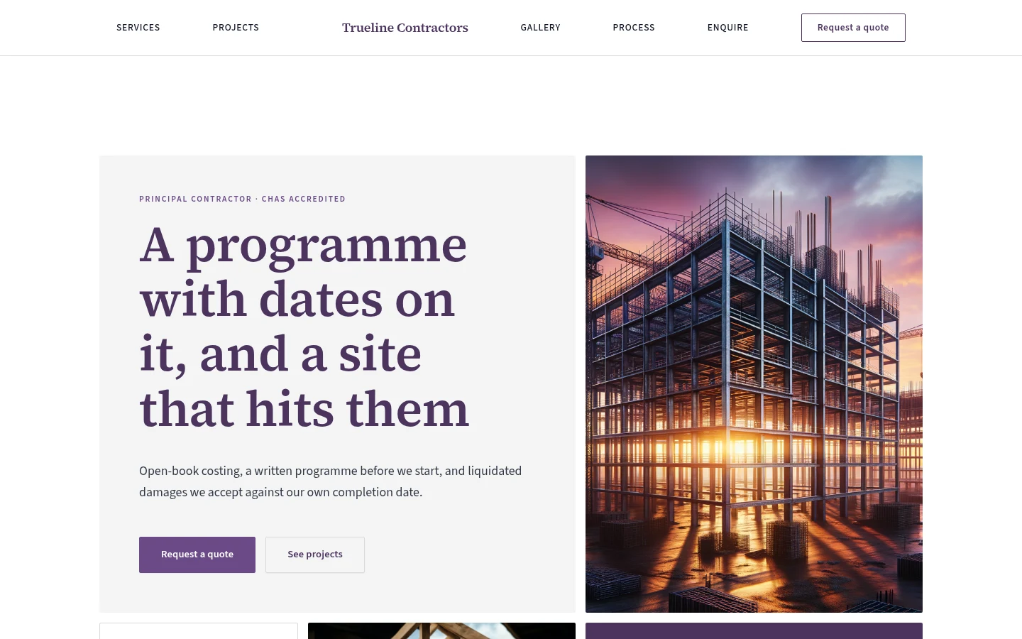 The Trueline Contractors website, as a visitor sees it