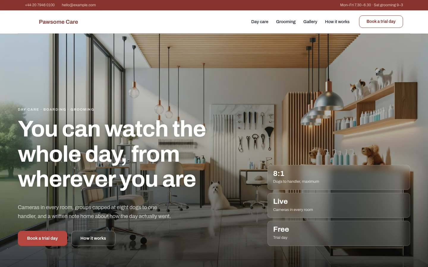 The Pawsome Care website, as a visitor sees it