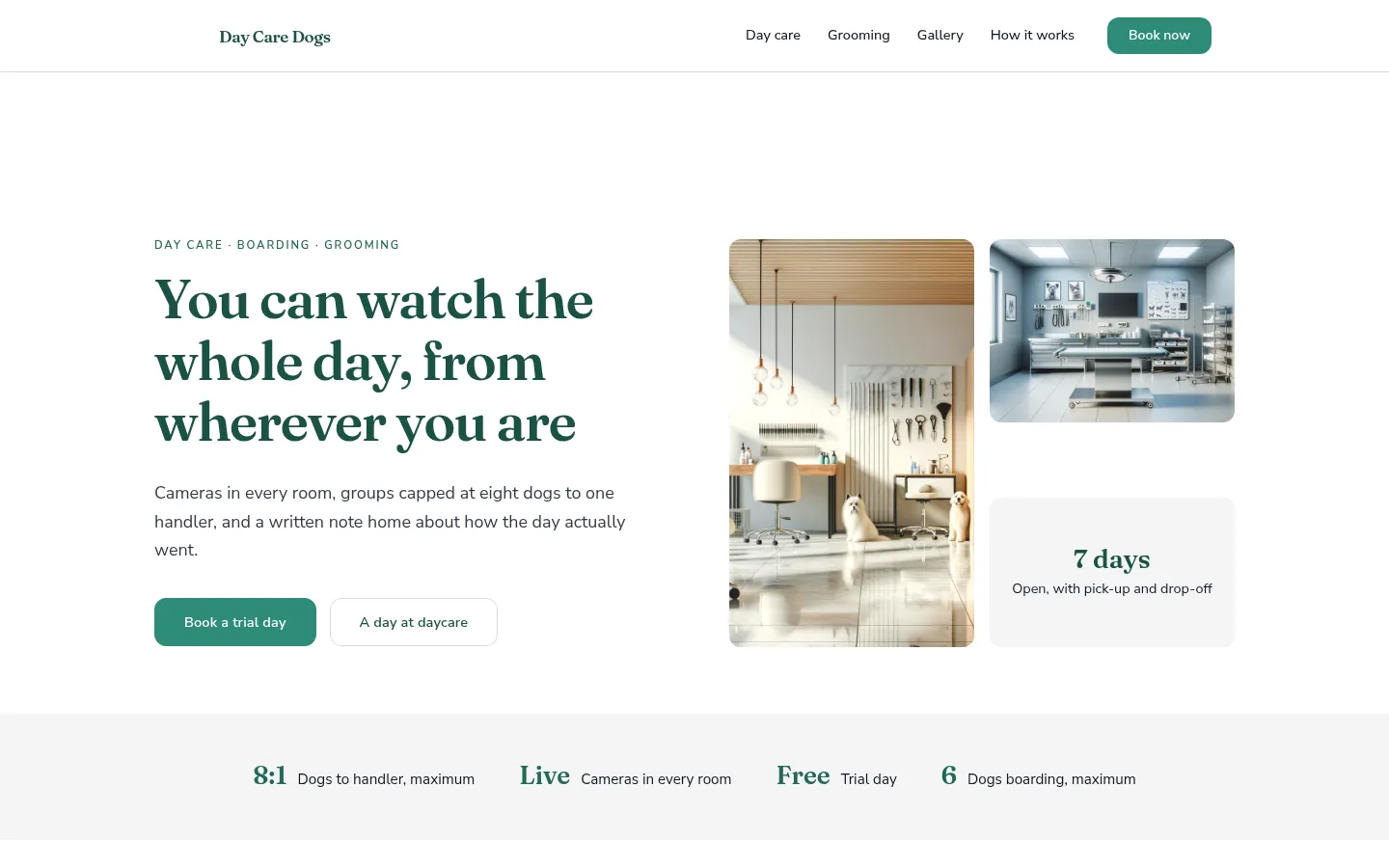 The Day Care Dogs website, as a visitor sees it
