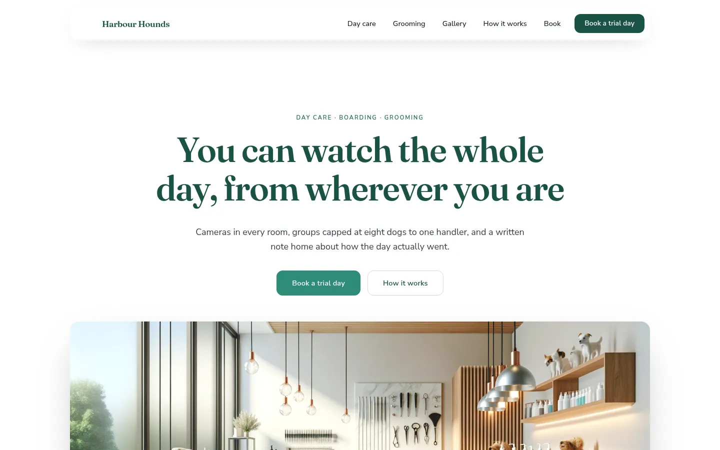 The Harbour Hounds website, as a visitor sees it