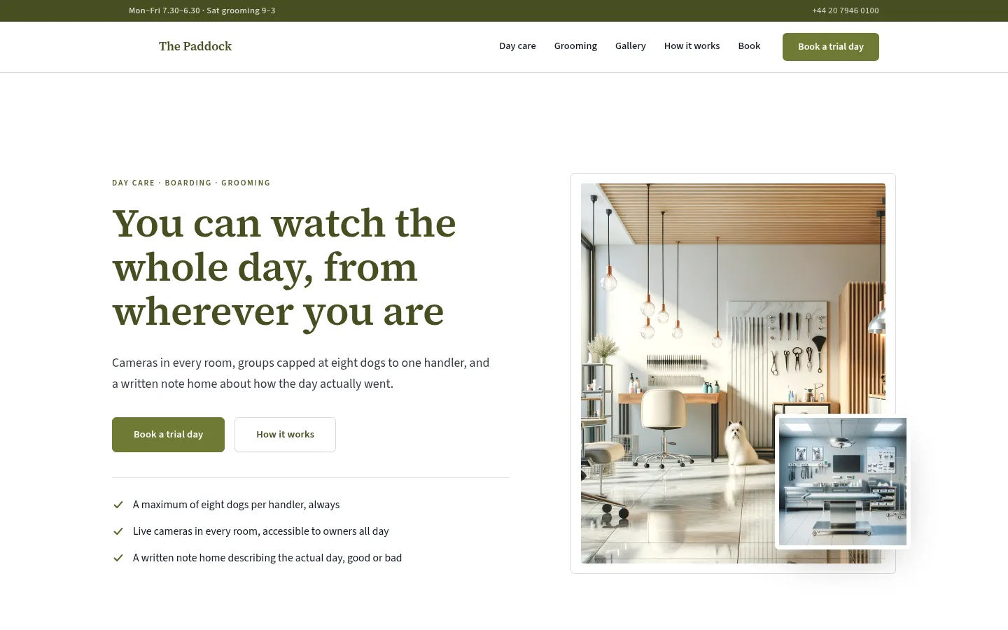 The The Paddock website, as a visitor sees it