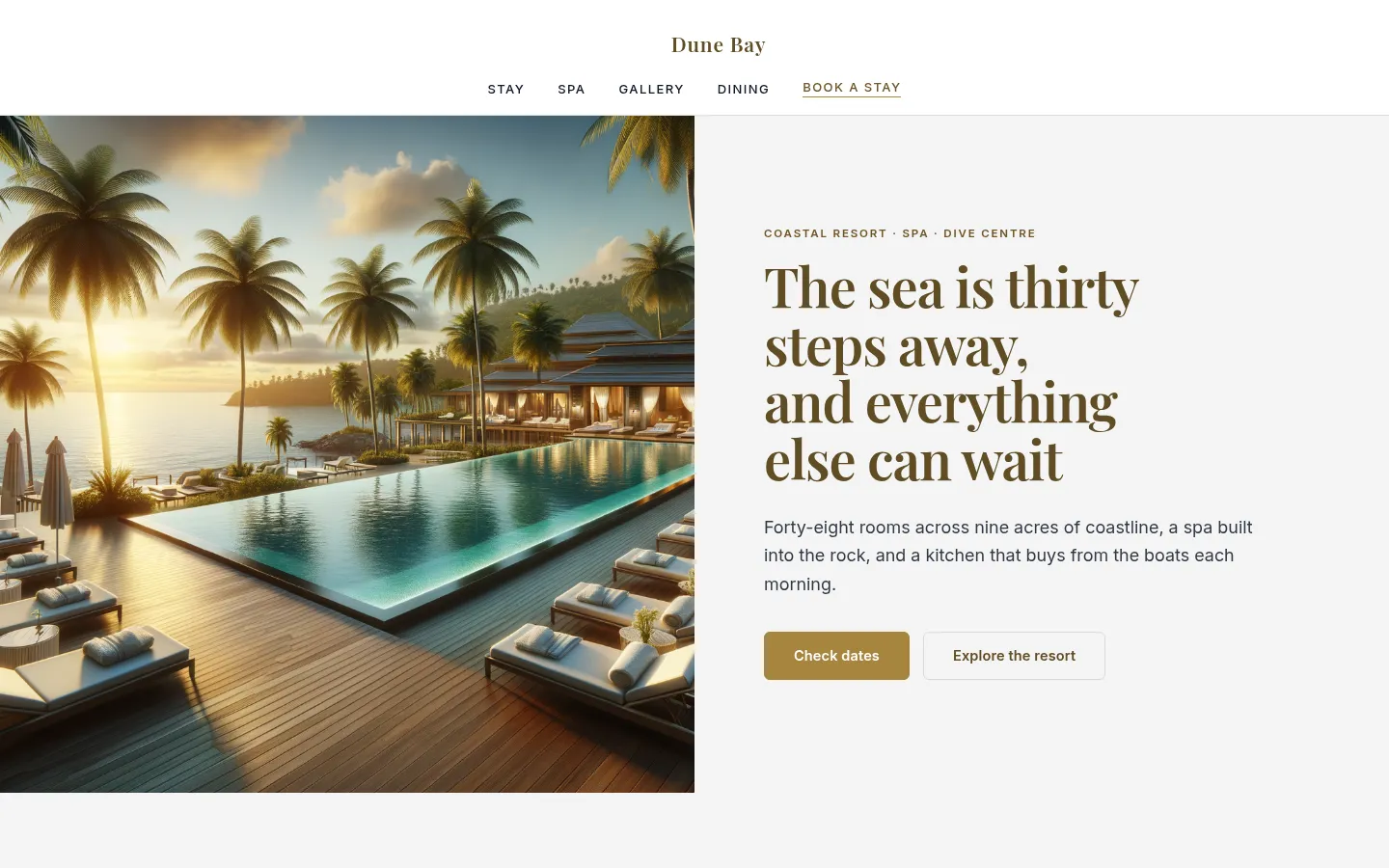 The Dune Bay website, as a visitor sees it